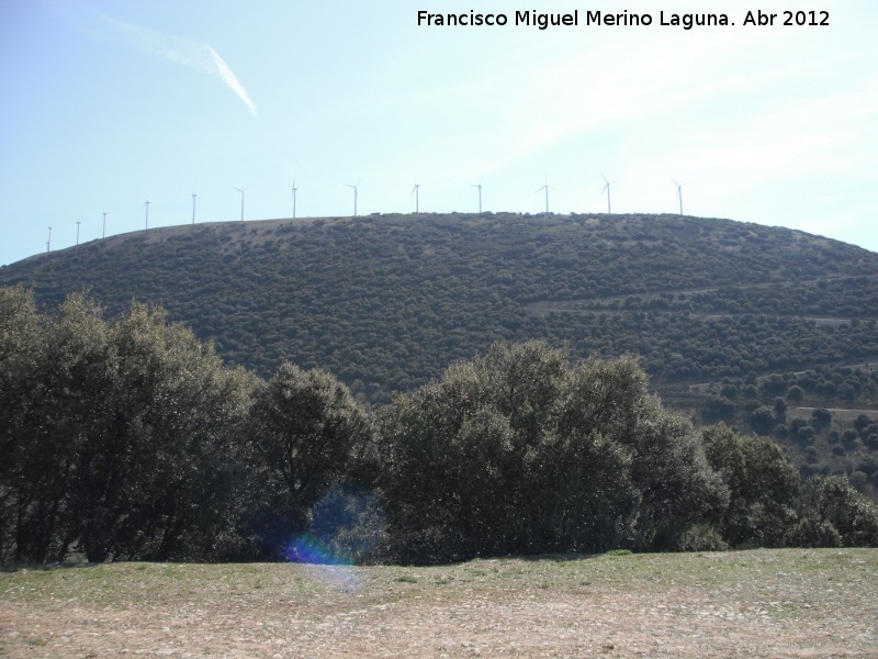 Parque eólico Sierra del Trigo - Parque eólico Sierra del Trigo. Cerro Paredón