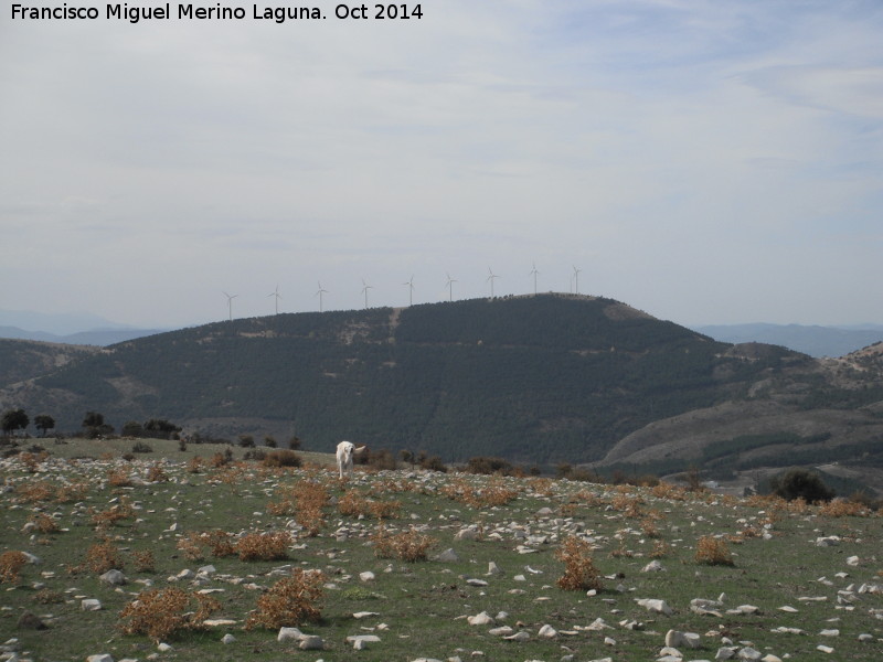 Parque elico Sierra del Trigo - Parque elico Sierra del Trigo. 