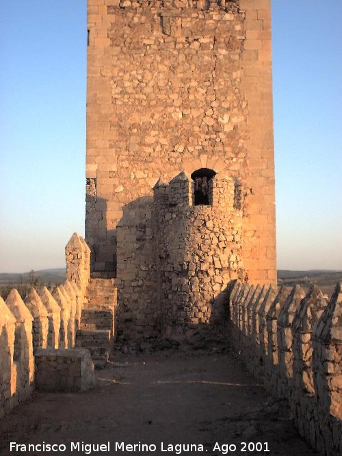 Castillo de Almansa - Castillo de Almansa. 