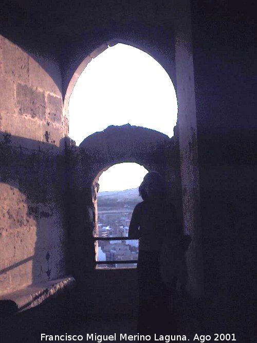 Castillo de Almansa - Castillo de Almansa. Ventana de la Torre del Homenaje