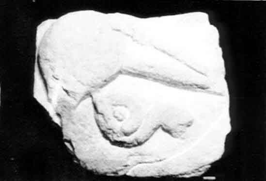 Necrpolis de Pozo Moro - Necrpolis de Pozo Moro. Fragmento de un friso (n 3 de la parte oeste de la cuadrcula 3-E del plano).