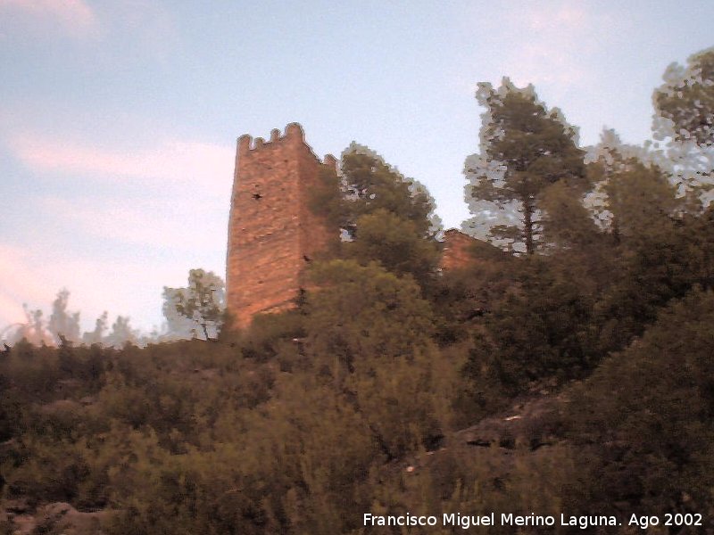 Castillo del Llano de la Torre - Castillo del Llano de la Torre. 