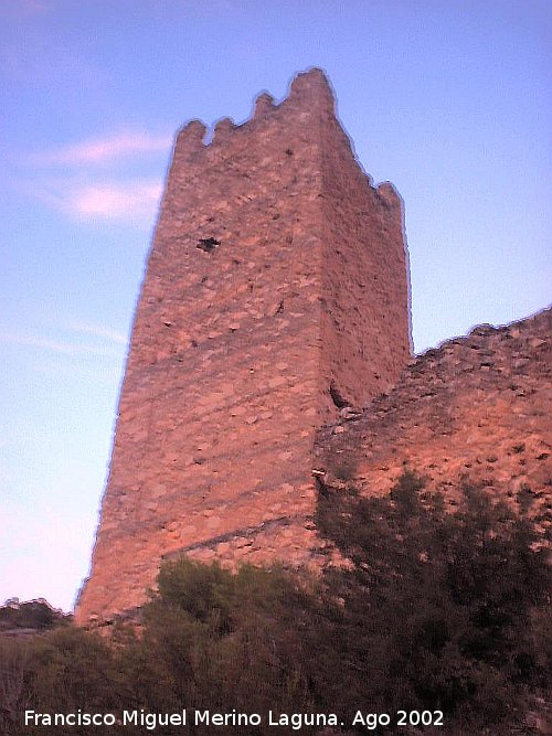 Castillo del Llano de la Torre - Castillo del Llano de la Torre. Torre del Homenaje