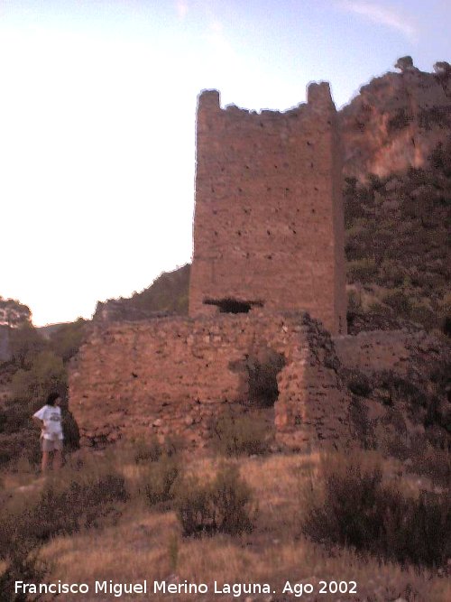 Castillo del Llano de la Torre - Castillo del Llano de la Torre. 