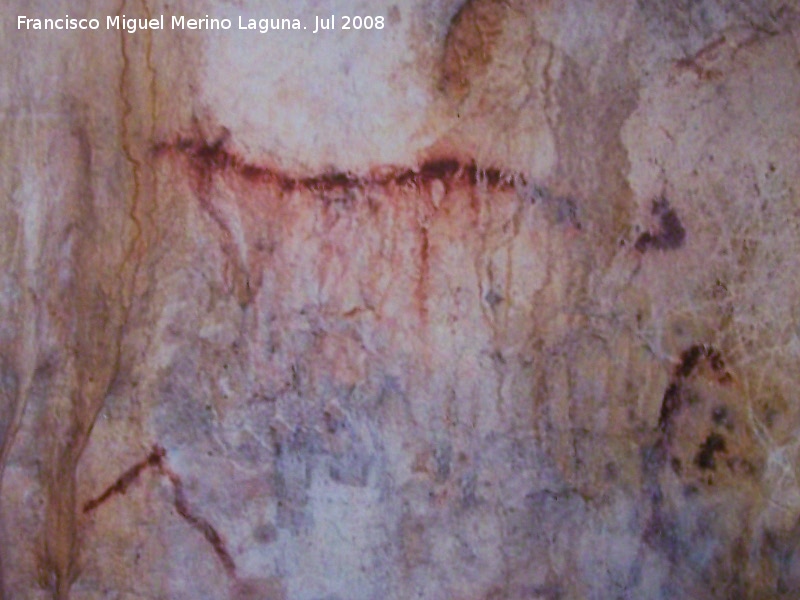 Pinturas rupestres de la Cueva del Toro - Pinturas rupestres de la Cueva del Toro. 
