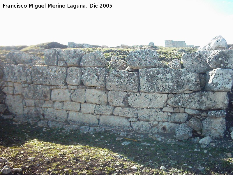 Yacimiento arqueolgico Ronda la Vieja - Yacimiento arqueolgico Ronda la Vieja. Muro del foro