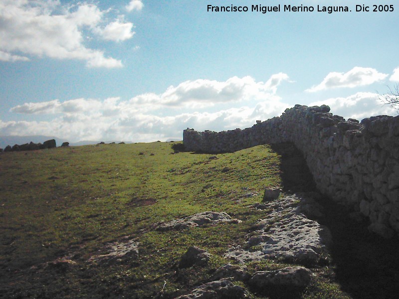 Yacimiento arqueolgico Ronda la Vieja - Yacimiento arqueolgico Ronda la Vieja. Muro