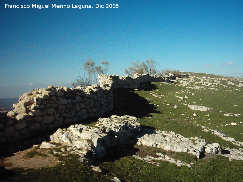 Yacimiento arqueolgico Ronda la Vieja - Yacimiento arqueolgico Ronda la Vieja. Muro