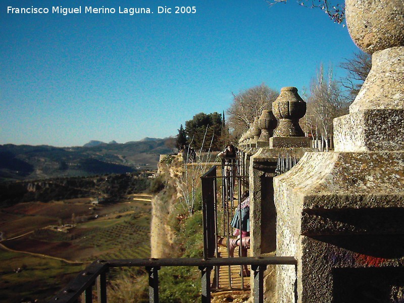 Alameda del Tajo - Alameda del Tajo. 