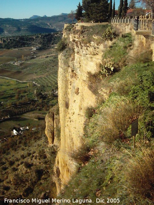 Alameda del Tajo - Alameda del Tajo. 