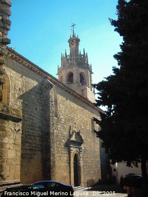 Colegiata Santa Mara la Mayor - Colegiata Santa Mara la Mayor. Lateral