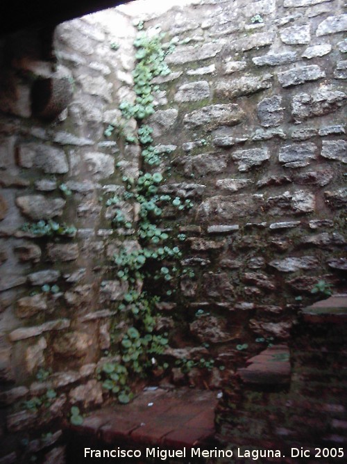 Murallas de Ronda - Murallas de Ronda. Murallas de la Cijara. Interior del Torren almenado