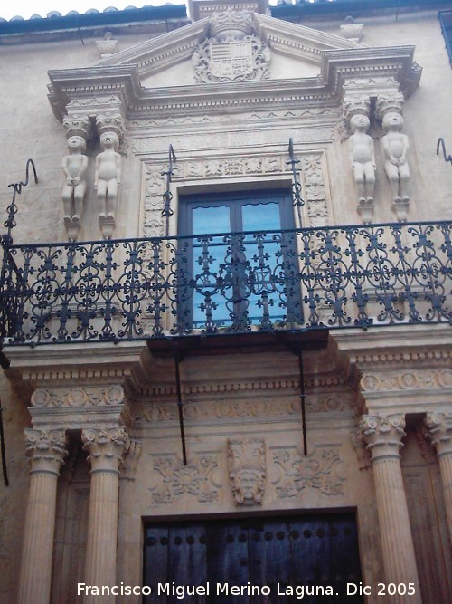 Palacio del Marques de Salvatierra - Palacio del Marques de Salvatierra. Portada