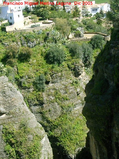 Jardines de Cuenca - Jardines de Cuenca. 