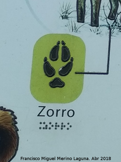 Zorro - Zorro. Huella