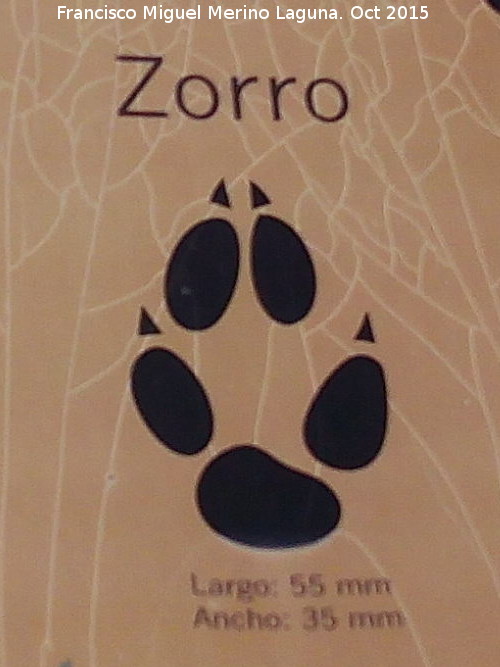 Zorro - Zorro. Huella