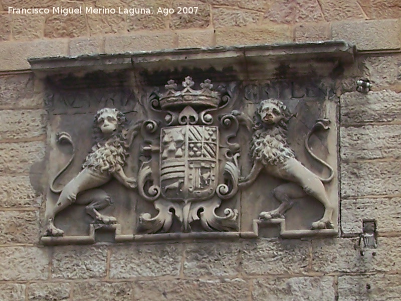 Palacio de los Condes de San Julin - Palacio de los Condes de San Julin. Escudo original