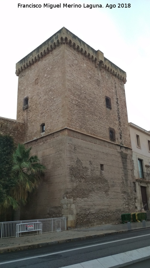 Castillo Palacio de Altamira - Castillo Palacio de Altamira. Torre del Homenaje