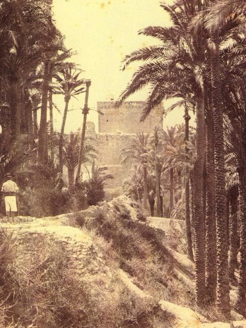 Castillo Palacio de Altamira - Castillo Palacio de Altamira. 1870