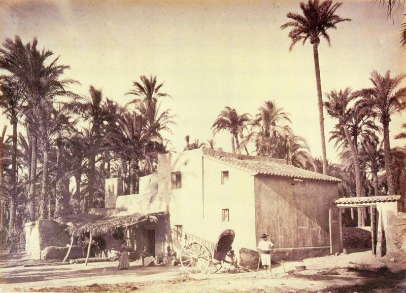 Palmeral de Elche - Palmeral de Elche. 1870