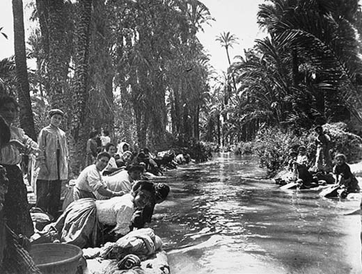 Palmeral de Elche - Palmeral de Elche. Lavando en la acequia mayor del ro Vinalop 1911