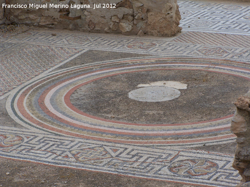 Villa romana del Palmeral - Villa romana del Palmeral. Mosaico