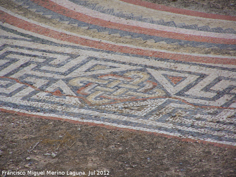 Villa romana del Palmeral - Villa romana del Palmeral. Mosaico