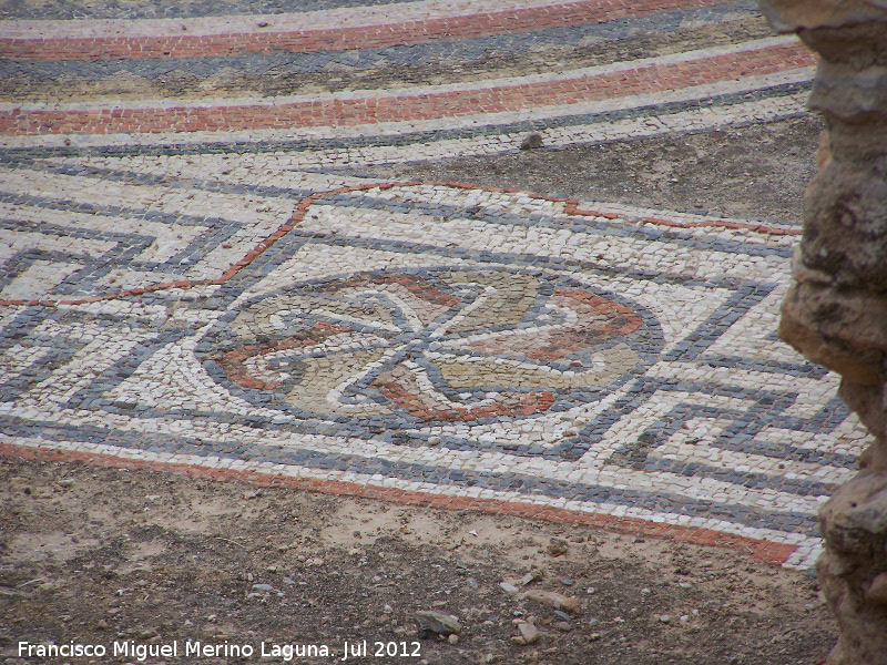 Villa romana del Palmeral - Villa romana del Palmeral. Mosaico