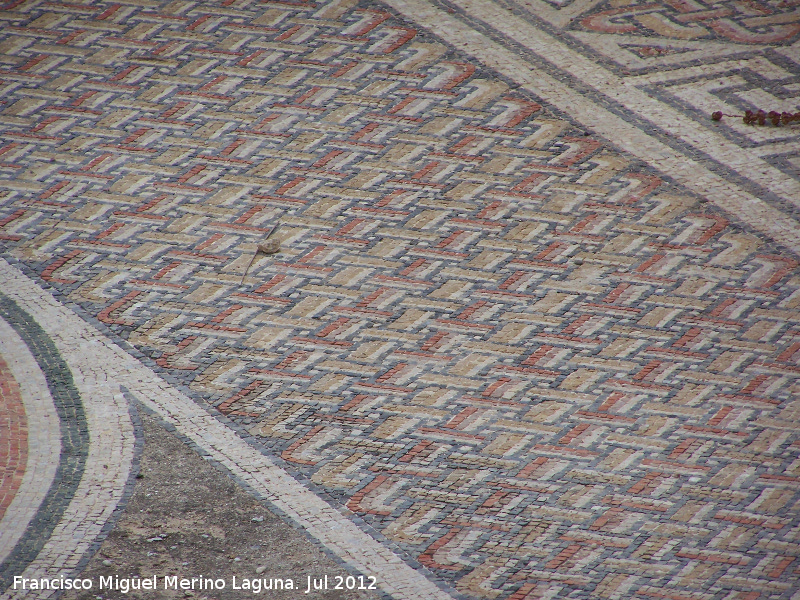 Villa romana del Palmeral - Villa romana del Palmeral. Mosaico
