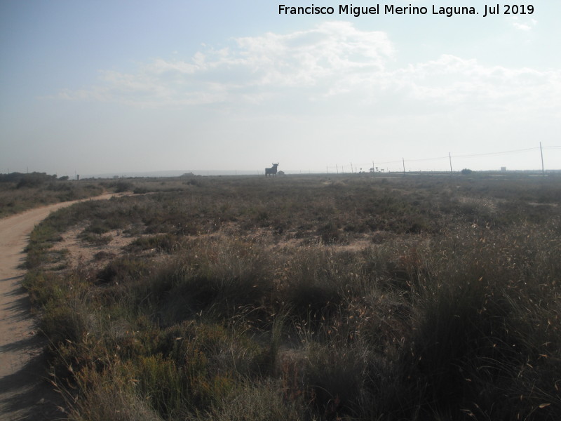Parque Natural de las Salinas de Santa Pola - Parque Natural de las Salinas de Santa Pola. Al fono el Toro de Osborne