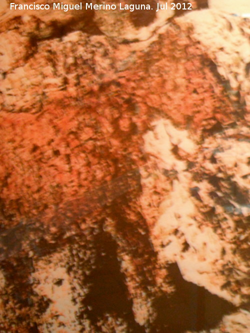 Pinturas rupestres de la Cueva de las Araas del Carabass - Pinturas rupestres de la Cueva de las Araas del Carabass. 