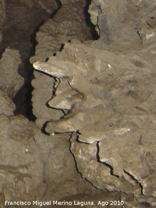 Cueva del Yeso - Cueva del Yeso. Yesos