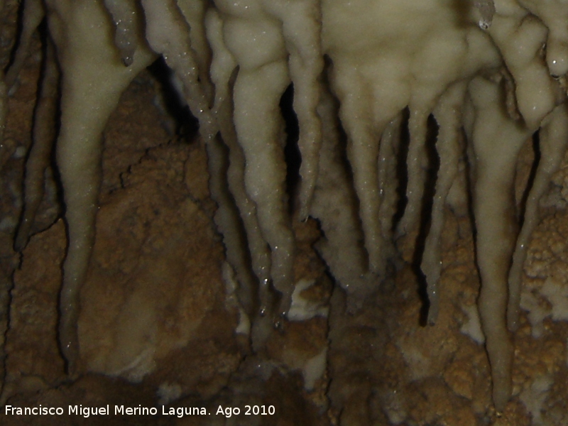 Cueva del Yeso - Cueva del Yeso. Formacin de estalactitas de yeso