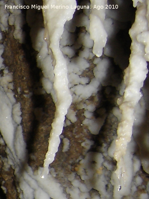 Cueva del Yeso - Cueva del Yeso. Formacin de estalactitas de yeso