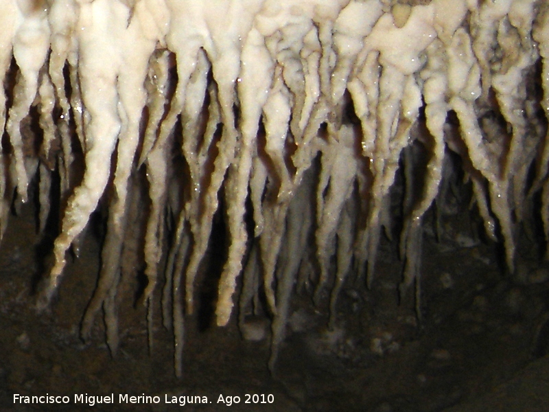Cueva del Yeso - Cueva del Yeso. Formacin de estalactitas de yeso