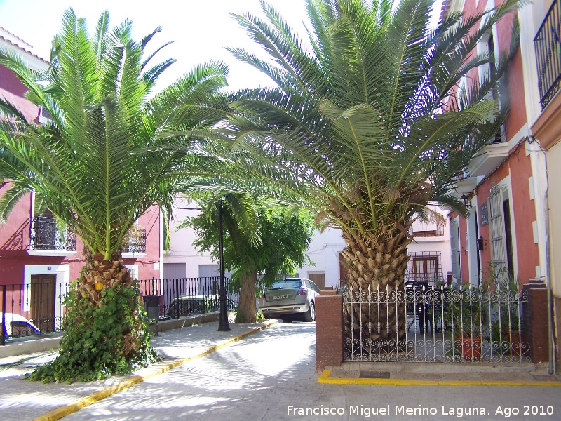 Calle Calvo Sotelo - Calle Calvo Sotelo. 