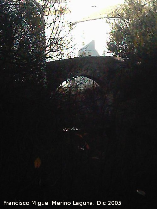 Puente de Triana - Puente de Triana. 