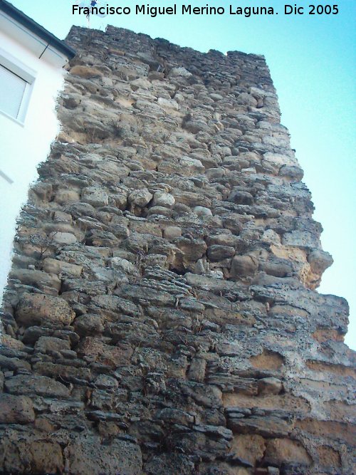 Castillo de Senenil - Castillo de Senenil. Torre del Espoln