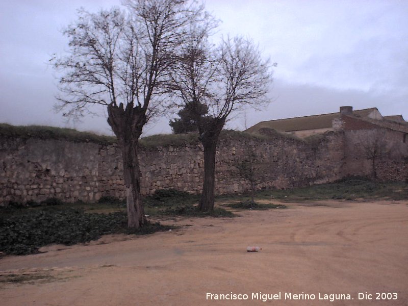 Muralla - Muralla. Muralla desde la parte de atrs del Convento de los Trinitarios