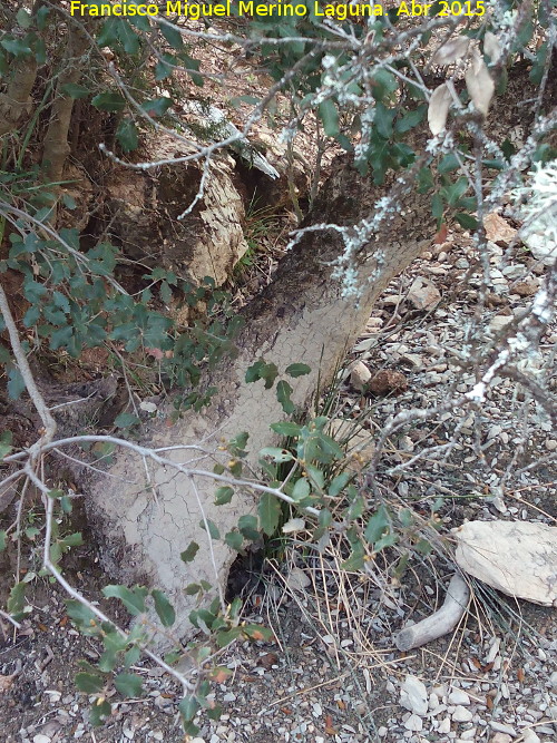 Jabal - Jabal. Arrascadero. Barranco de los Tejos - Valdepeas