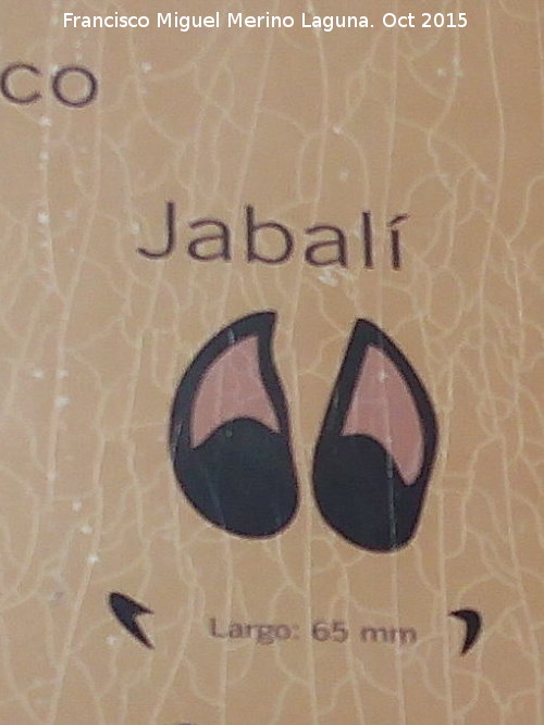 Jabal - Jabal. Huella