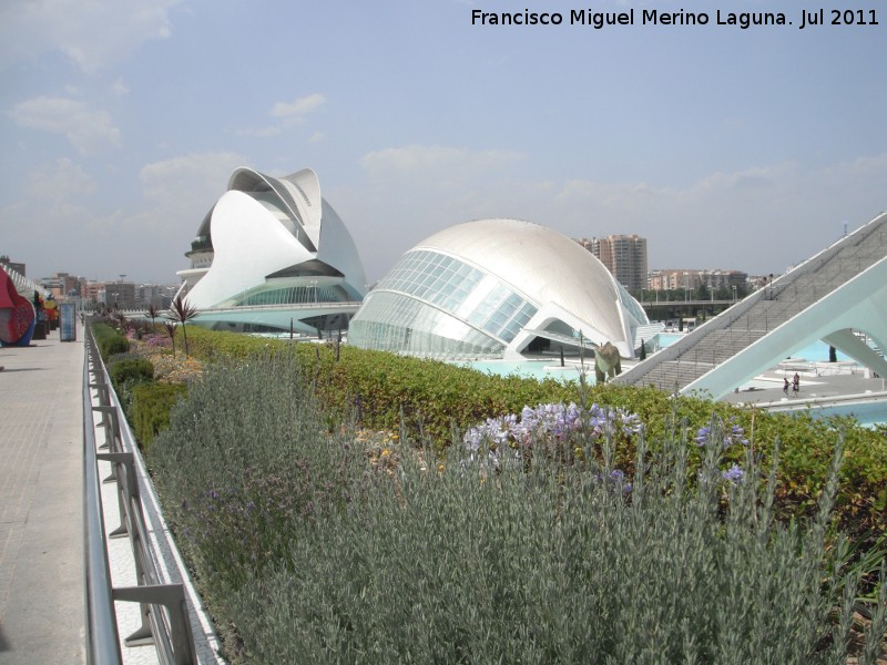 Ciudad de las Artes y las Ciencias - Ciudad de las Artes y las Ciencias. 