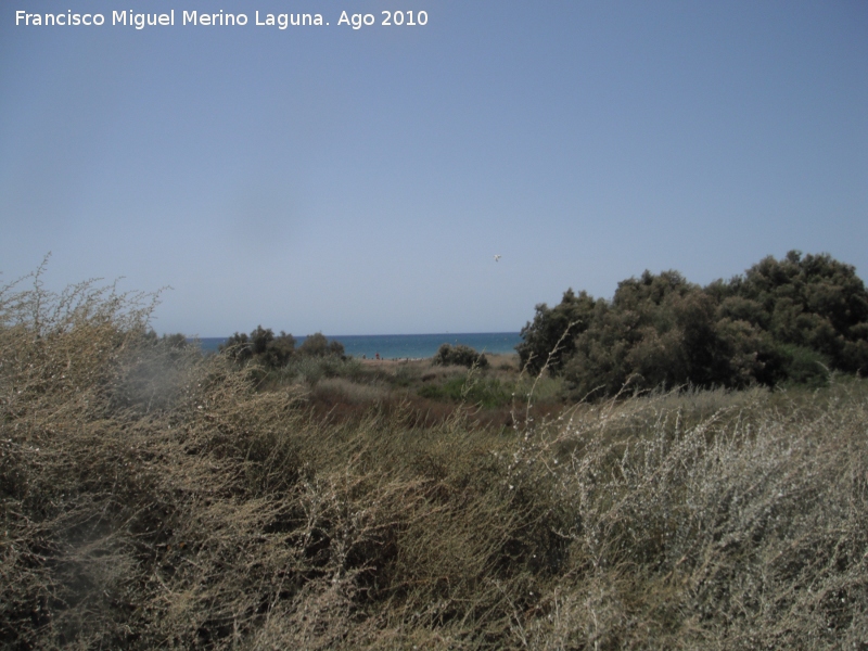 Playa Torre Garca - Playa Torre Garca. 