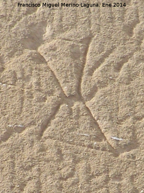 Marcas de cantero - Marcas de cantero. Iglesia de San Pedro - Baeza