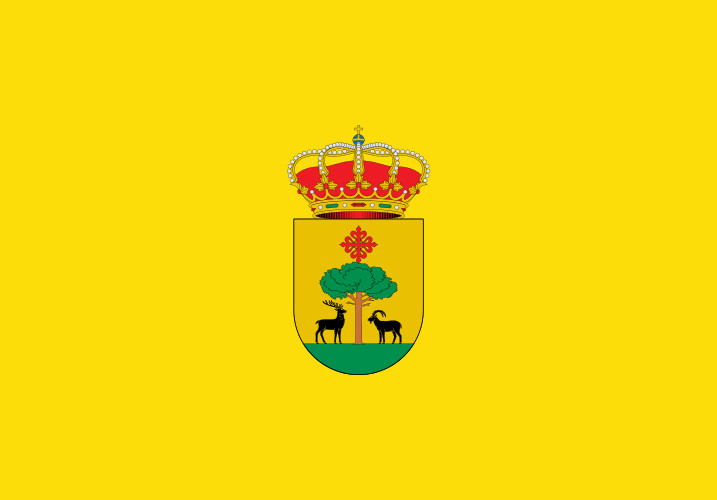 Solana del Pino - Solana del Pino. Bandera