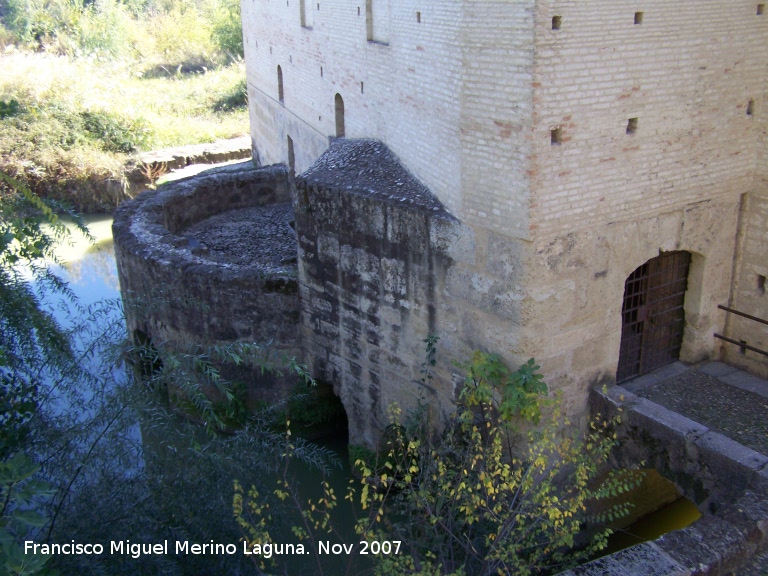 Molino de la Alegra - Molino de la Alegra. 