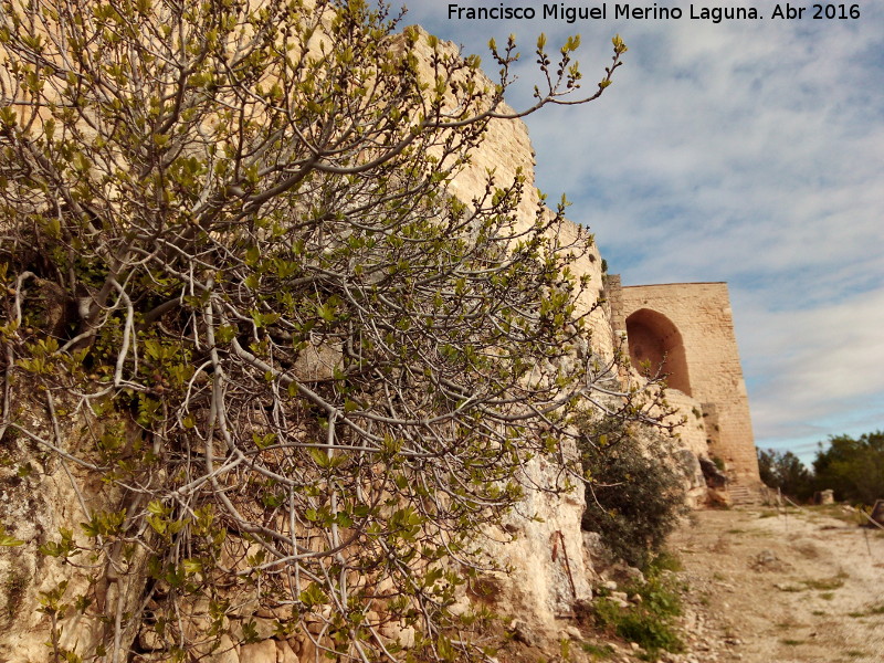 La Mota. Murallas - La Mota. Murallas. 