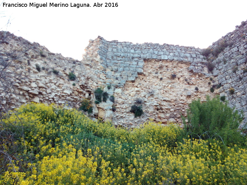 La Mota. Murallas - La Mota. Murallas. Lienzo entre el Torren Oeste IV y V a extramuros