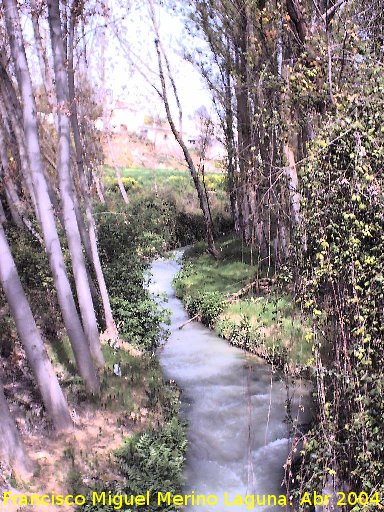 Riberas del Ro Velillos - Riberas del Ro Velillos. A su paso por Ribera Baja