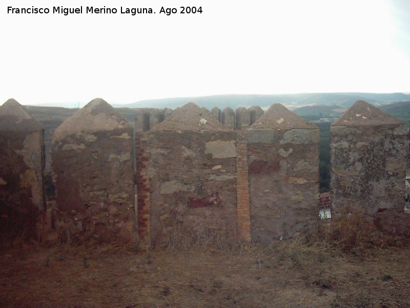 Castillo de Molina de Aragn - Castillo de Molina de Aragn. Almenas